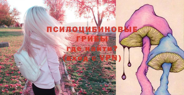 mix Армянск