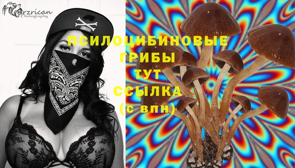 кокаин VHQ Арсеньев